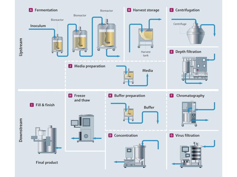 Single Use process map