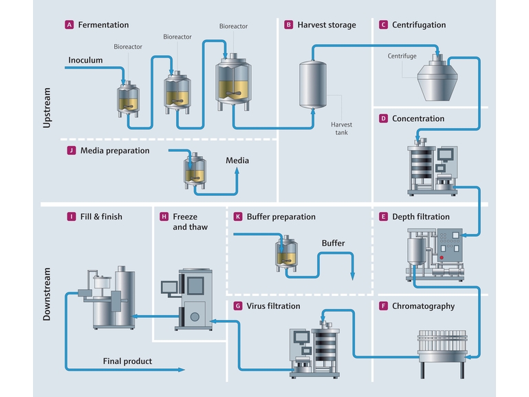 Biopharma Process Map