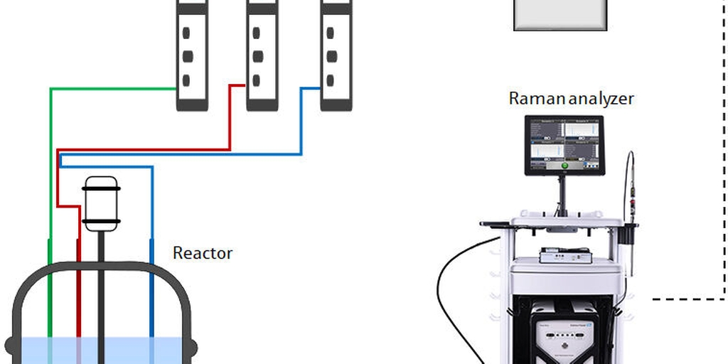 polymerization, raman, spectroscopy, inline Schematic diagram of process-control system for semi-batch polymerization